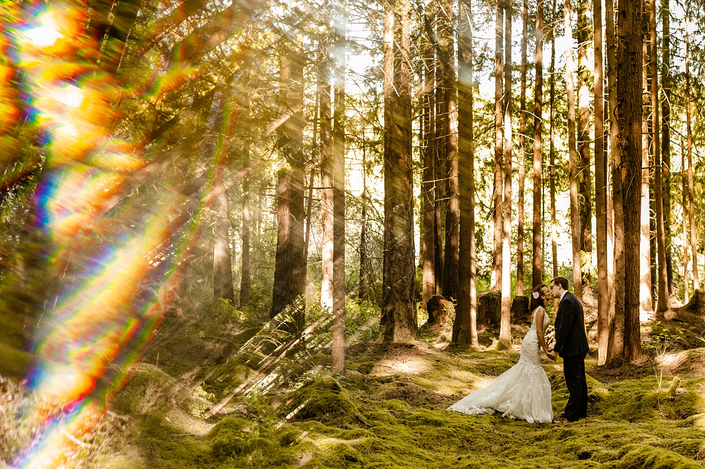 the emerald forest wedding photographer tminspired photography, redmond washington, How To Choose The Best Wedding Vendors