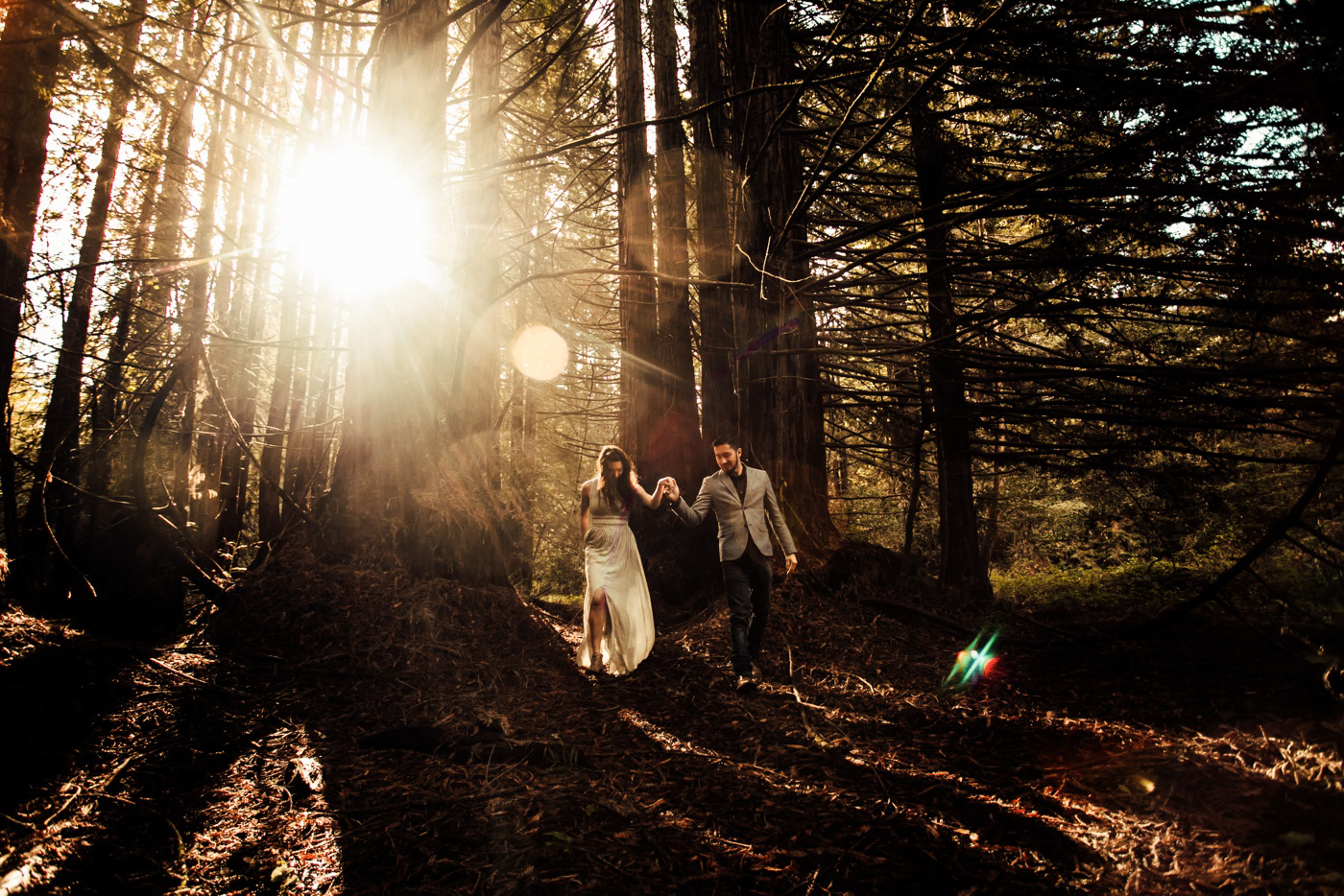 Forest of the Nisene Marks State Park Engagement
