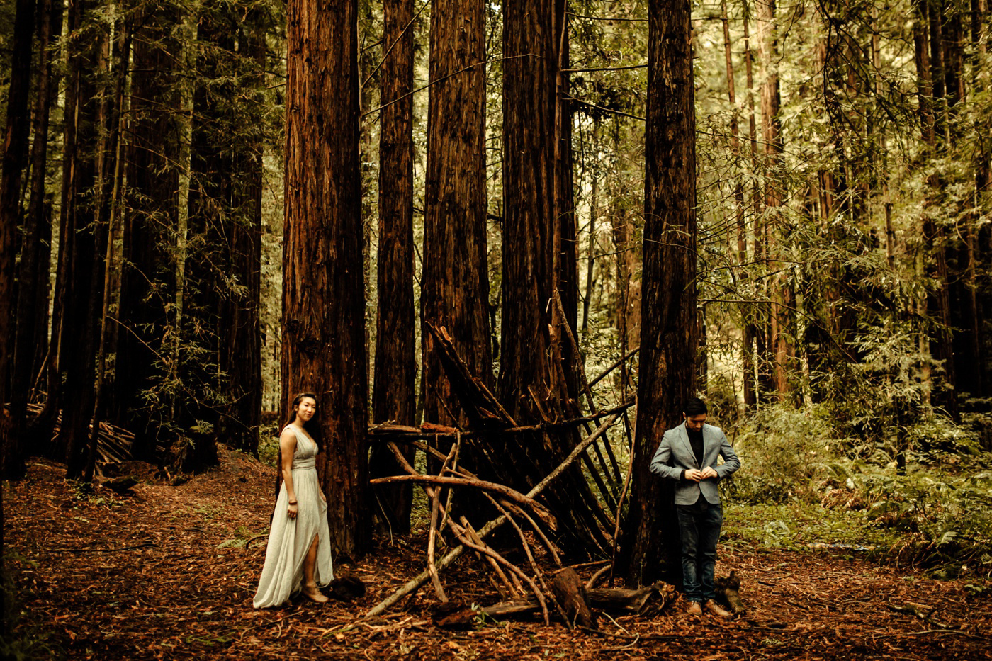 Forest of the Nisene Marks State Park Engagement