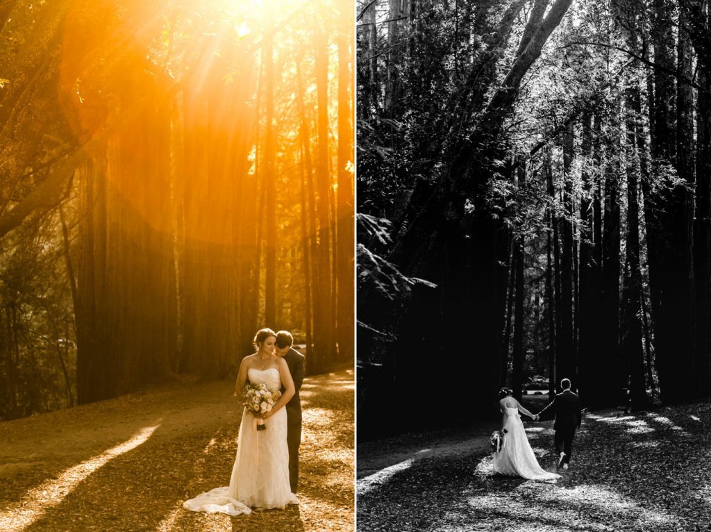 redwoods san francisco wedding photographer sunset portraits