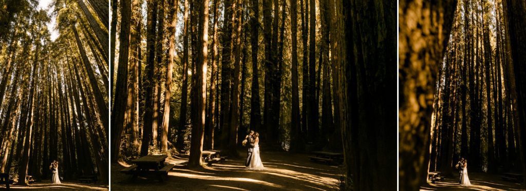 redwood wedding photographer san francisco california