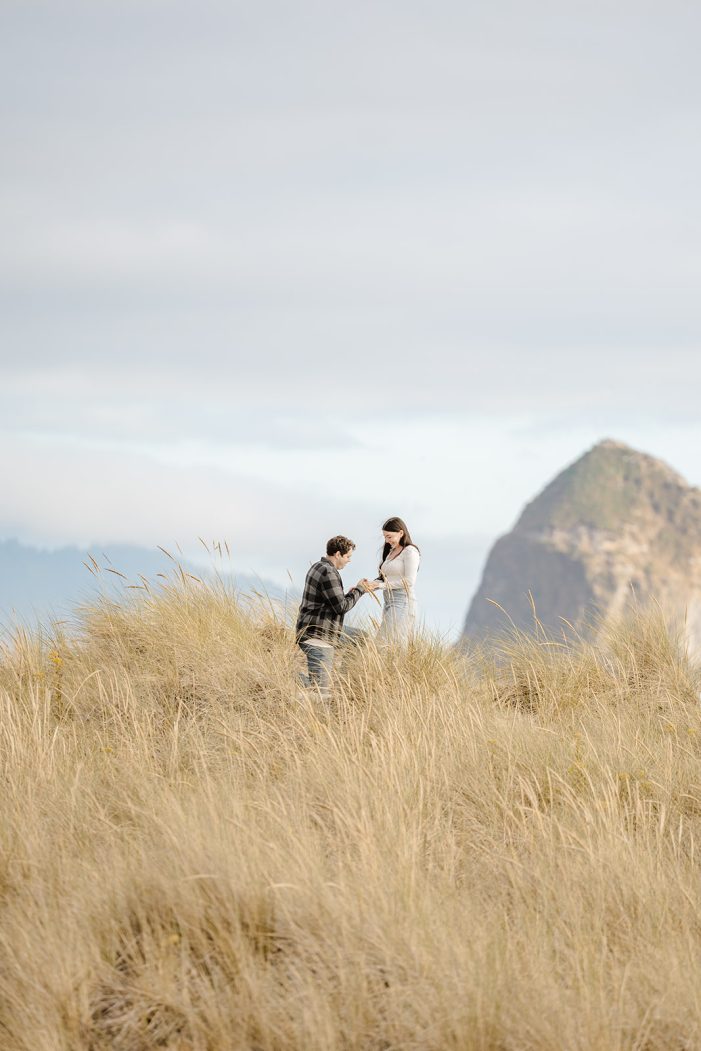 chapman beach proposal