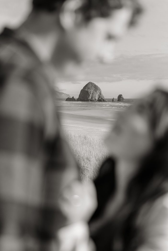 chapman beach proposal