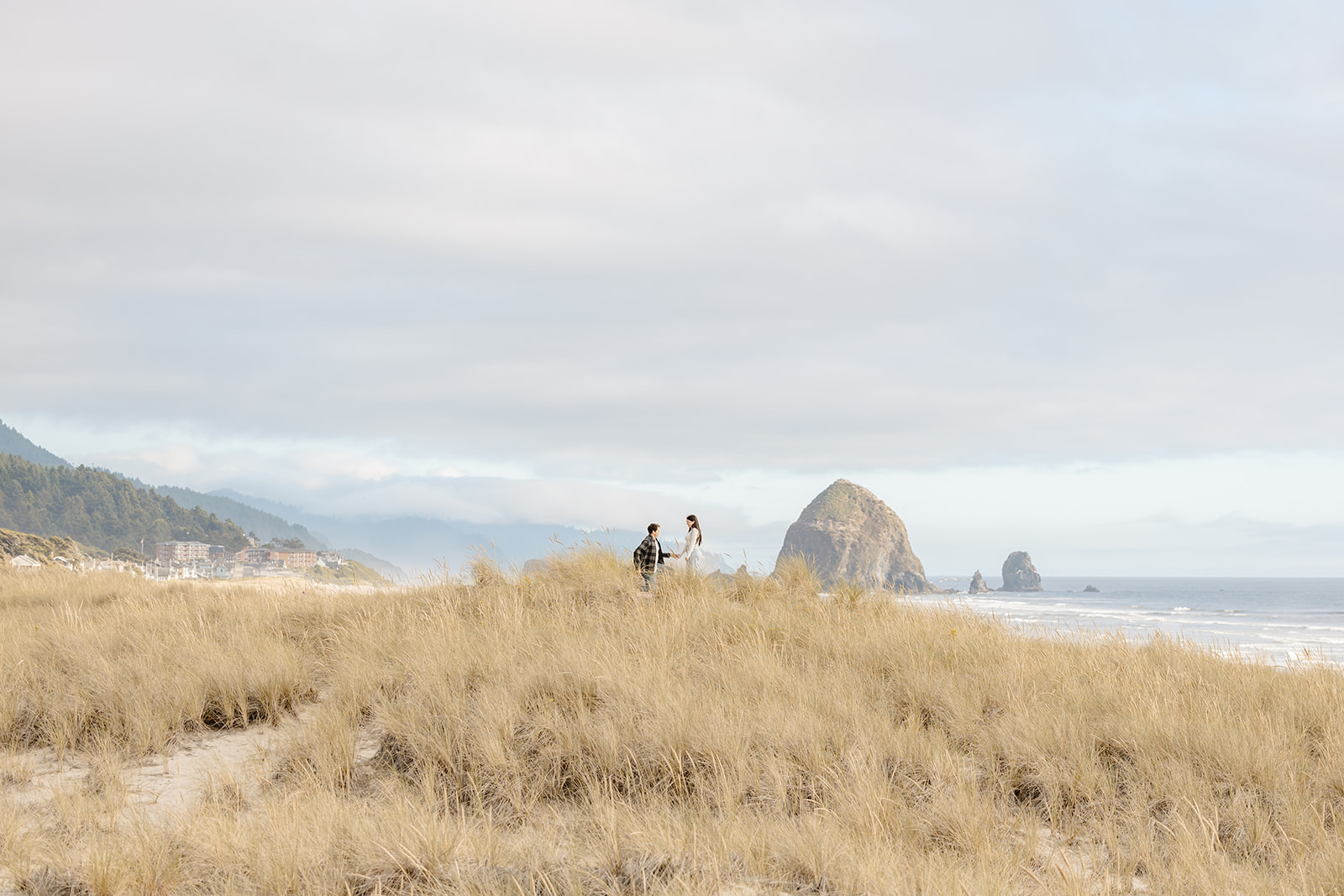 chapman beach proposal