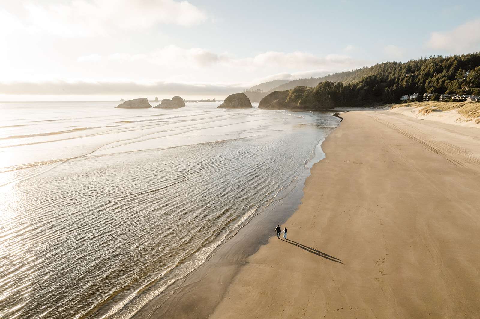 chapman beach proposal