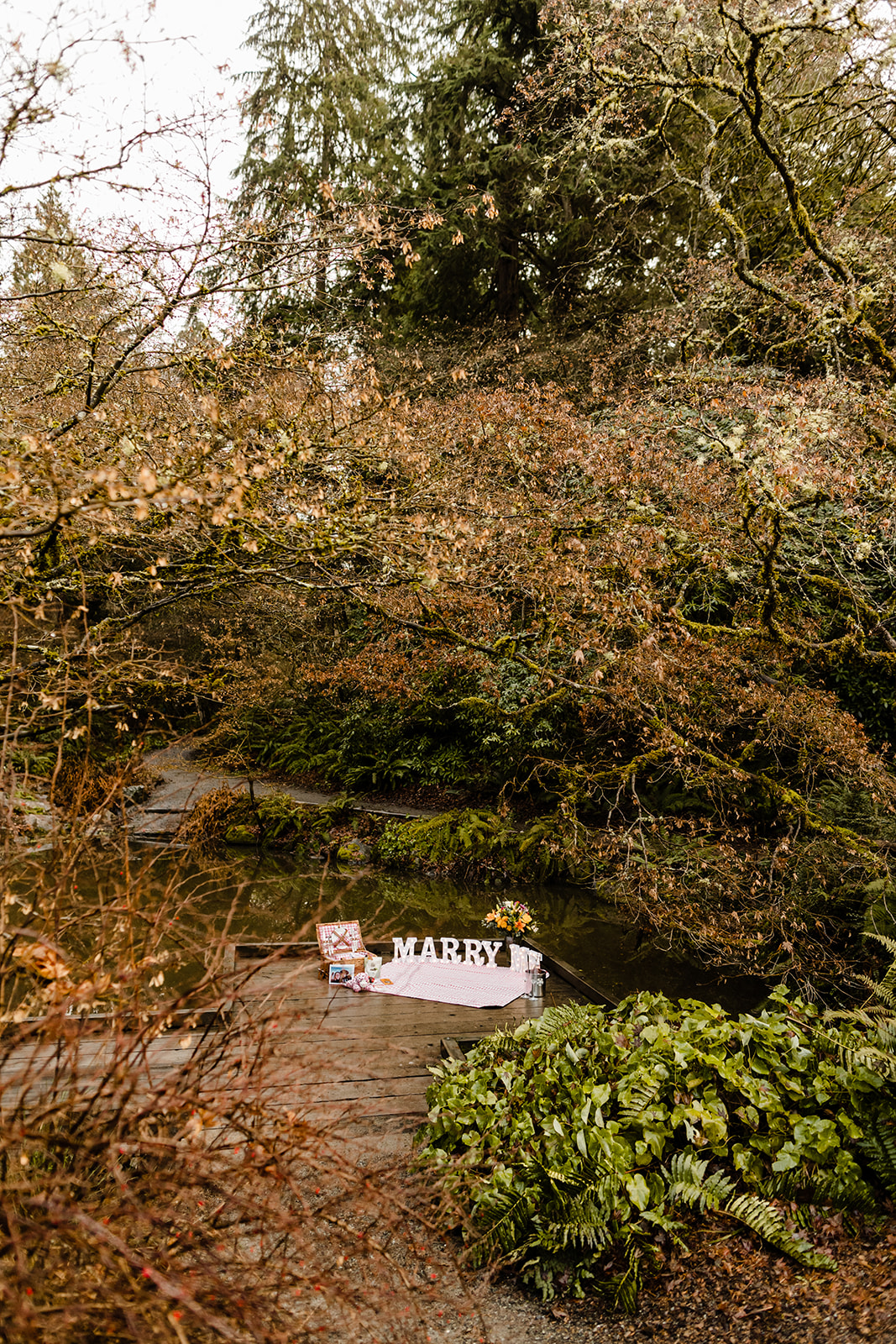 marry me picnic setup proposal photographer in seattle