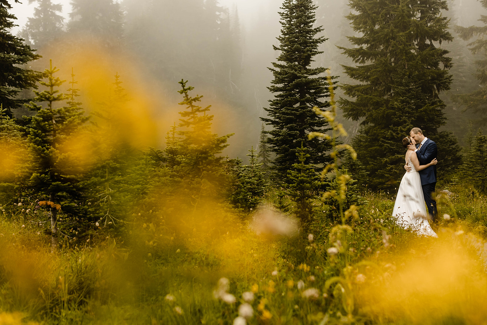 Wildflowers at Mt. Rainier National Park