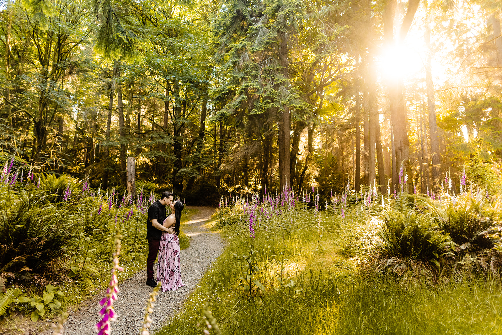flower field photoshoot in tacoma, lupine