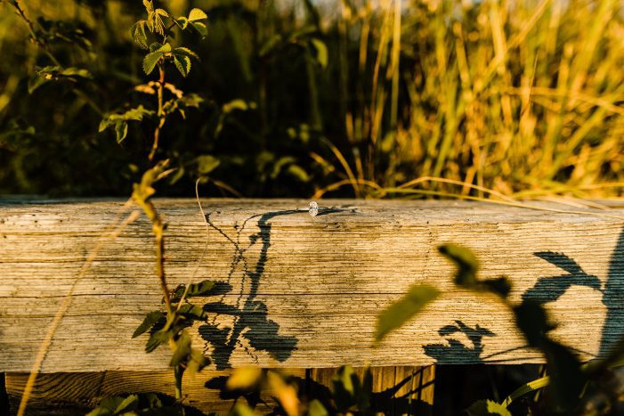golden hour engagement photo