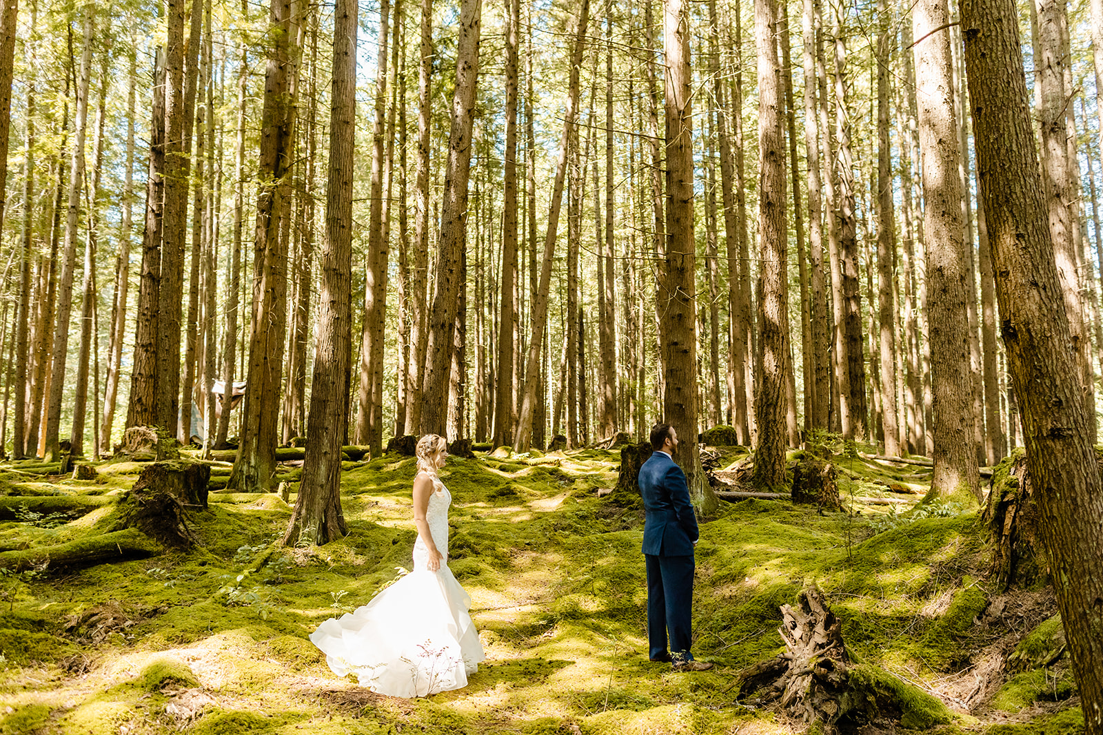 emerald forest photo shoot