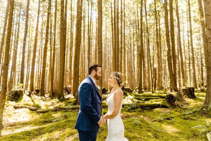 emerald forest portraits