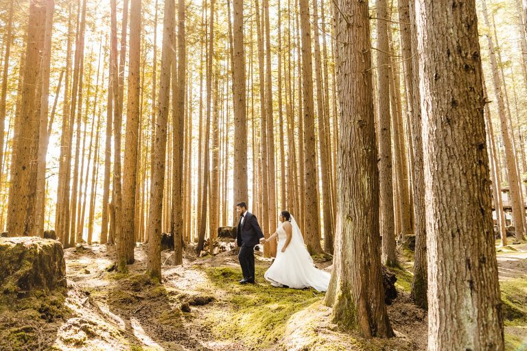 bride and groom walk through tall trees at emerald forest wedding
