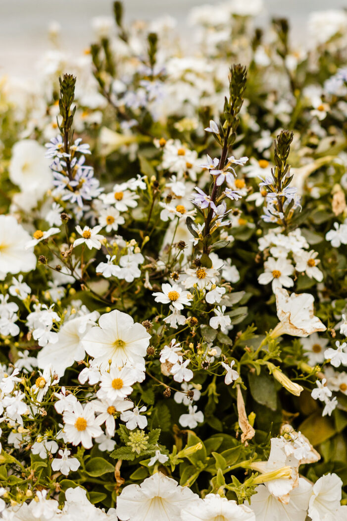 flowers at kiana lodge wedding