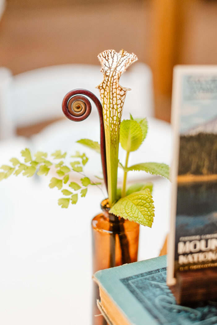 flowers as centerpiece