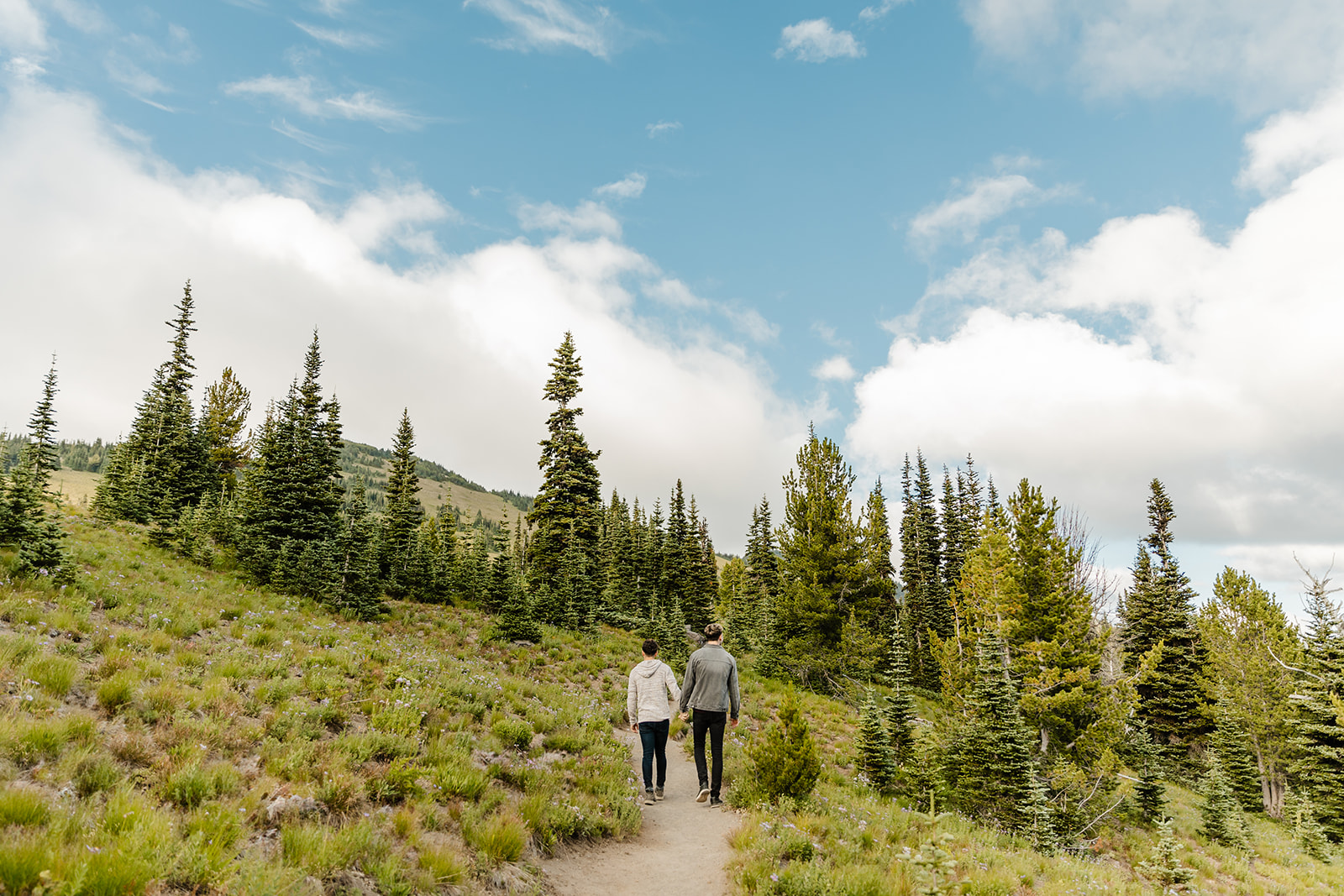 two boys hold hands and walk through the trees during mountain engagement session
