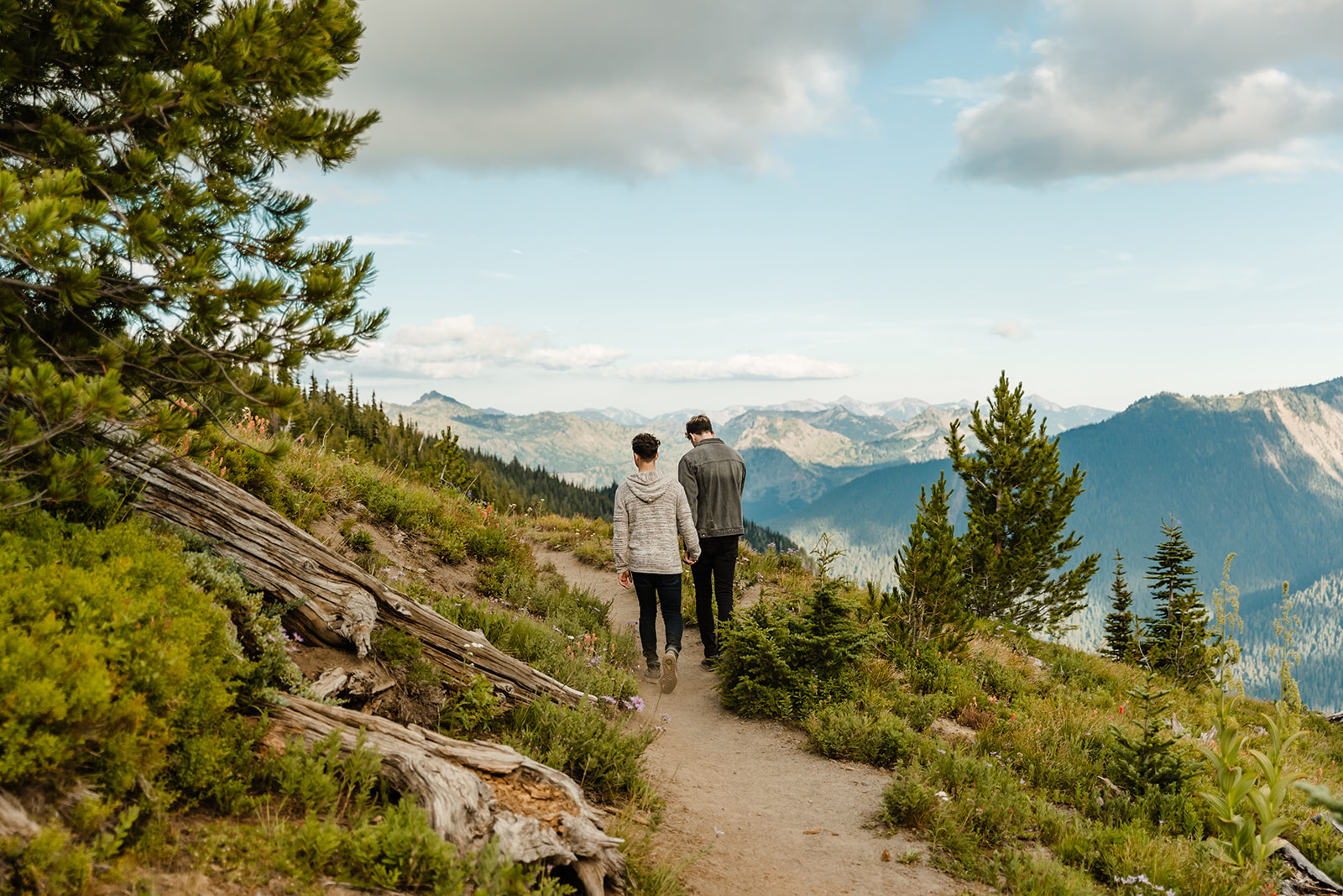 two boys walk down a path through a field with trees in the background