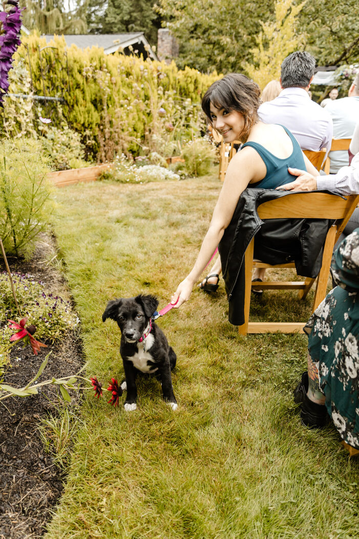 puppy sits politely during wedding ceremony
