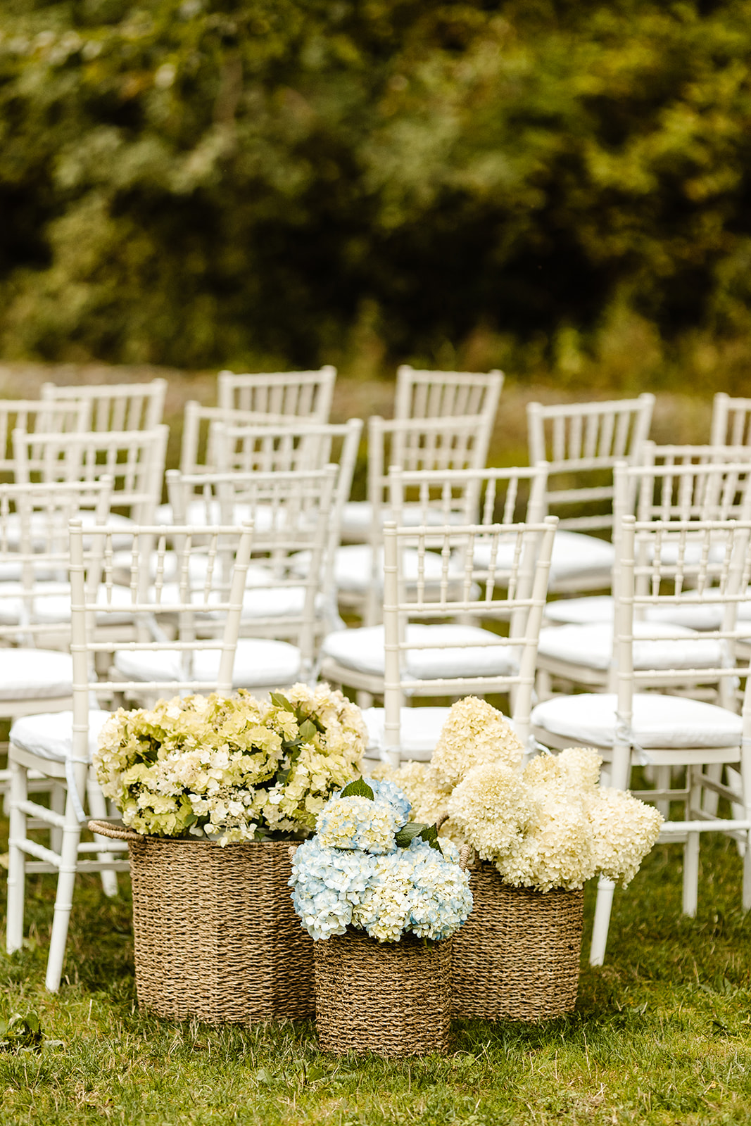 hydrangeas in baskets