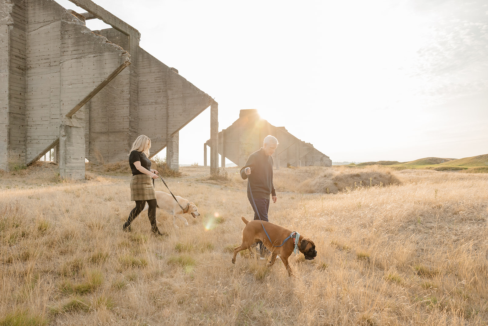 couple walking with dogs in a field at chambers bay in tacoma washington, seattle family photographer