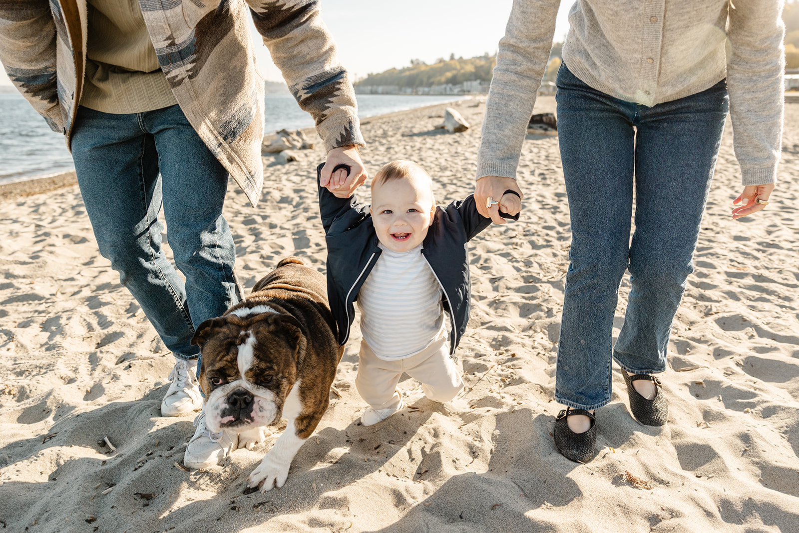mom and dad walking with son in the middle holding hands and their dog walking on the beach