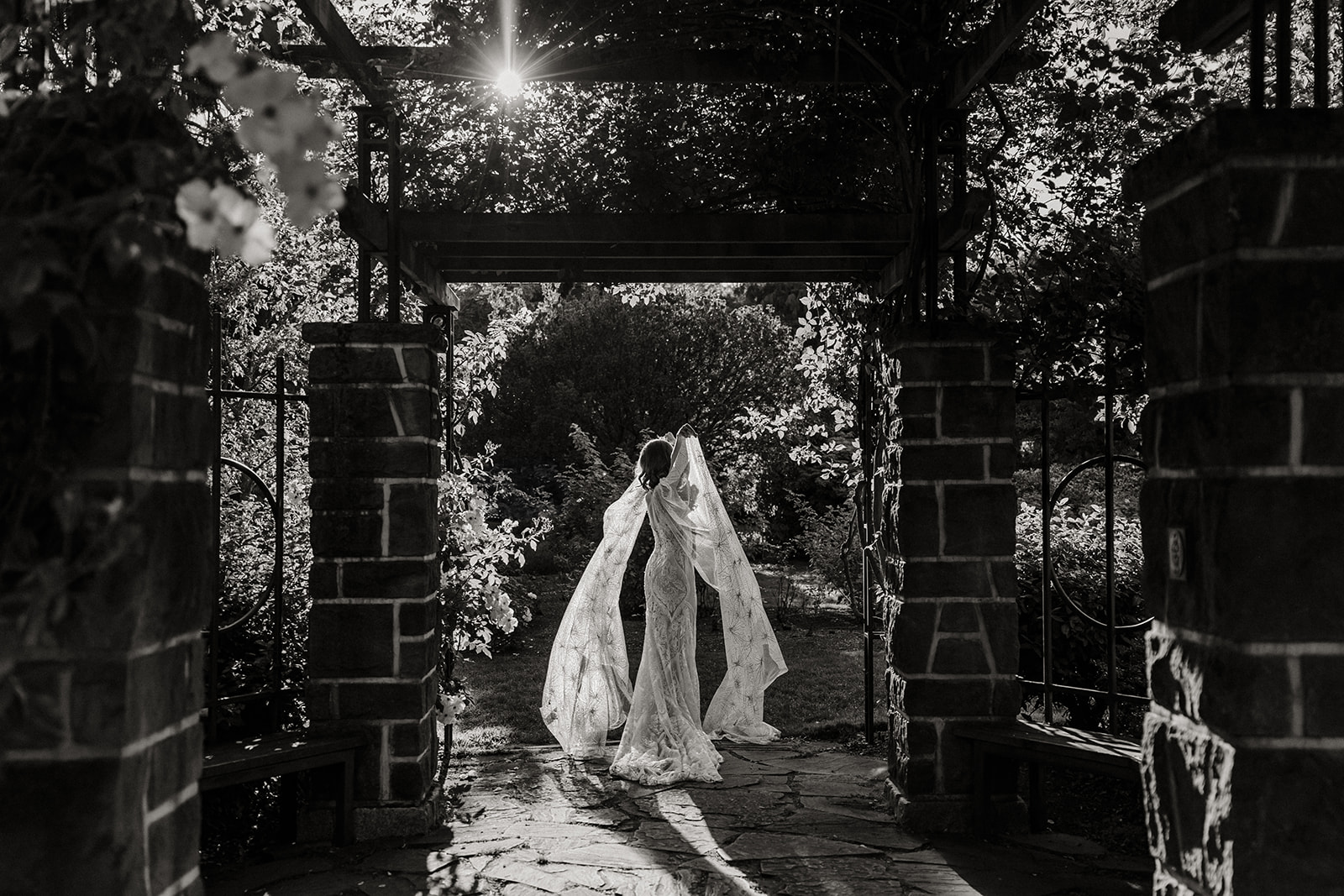 bride lifts veil into sunlight under rose covered trellis