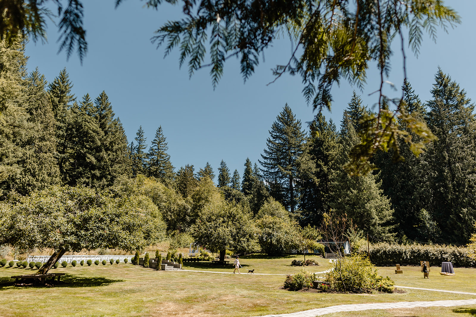 evergreen meadows venue
