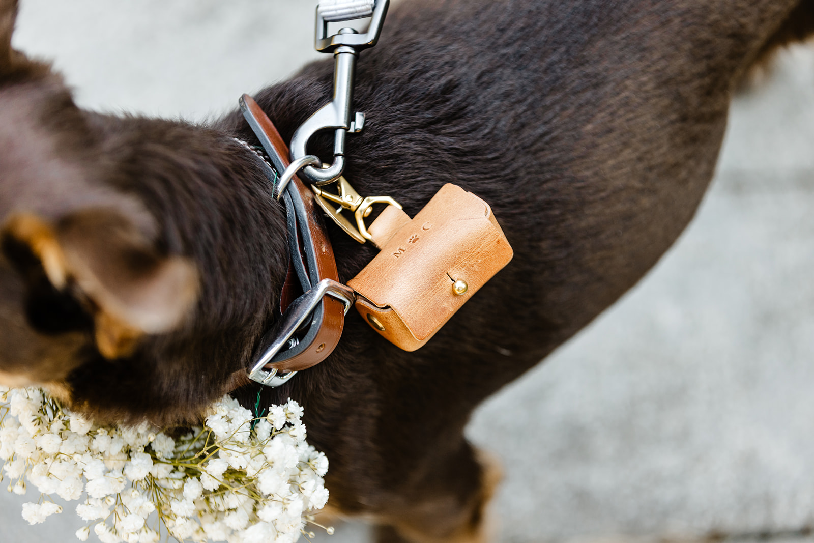 wedding dog with ring pouch
