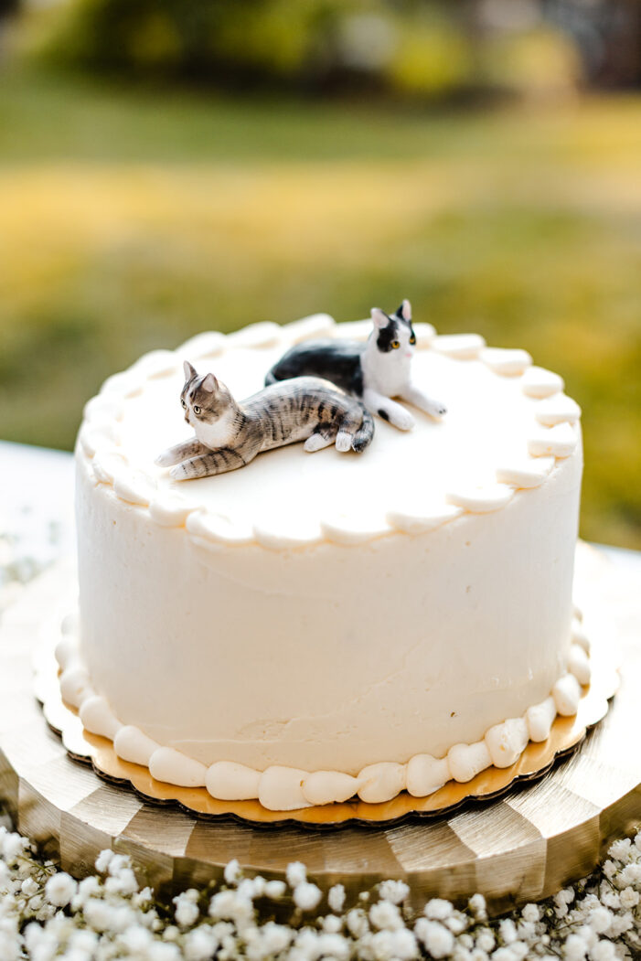 cake at evergreen meadows wedding