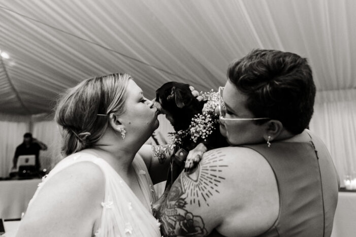 guests dance at evergreen meadows wedding