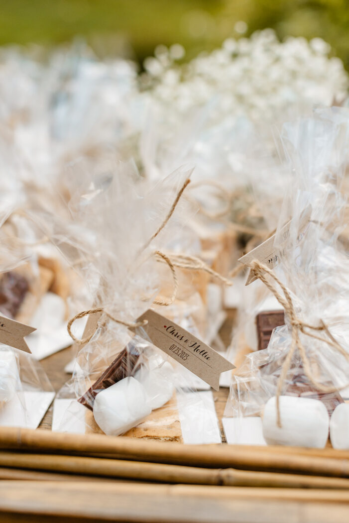smore kits at wedding