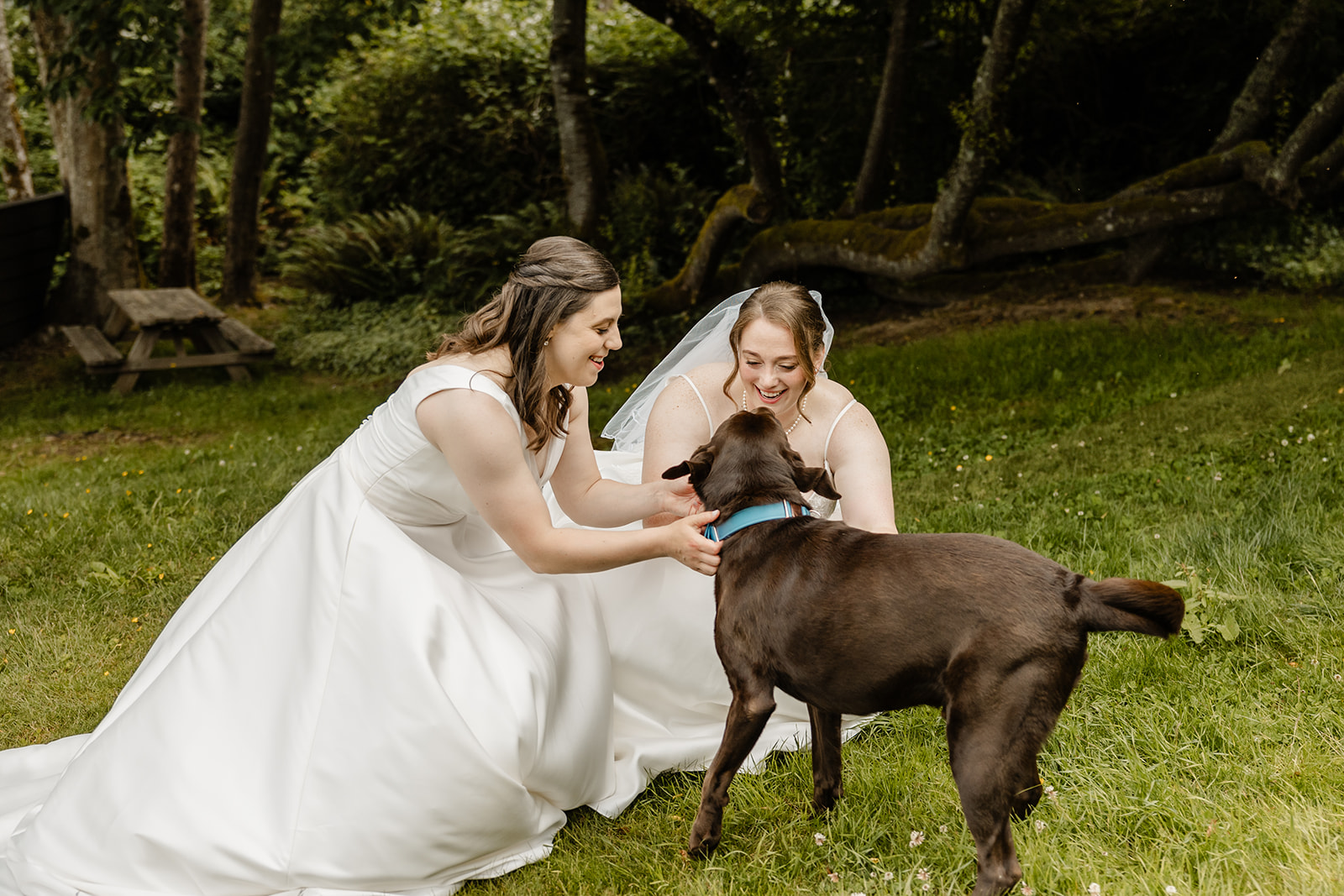 brides posing with dog