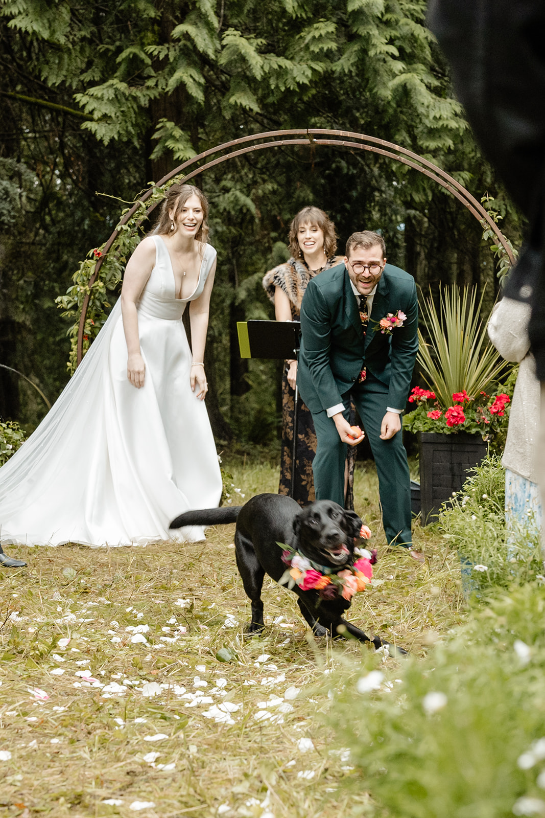 dog runs away from bride and groom