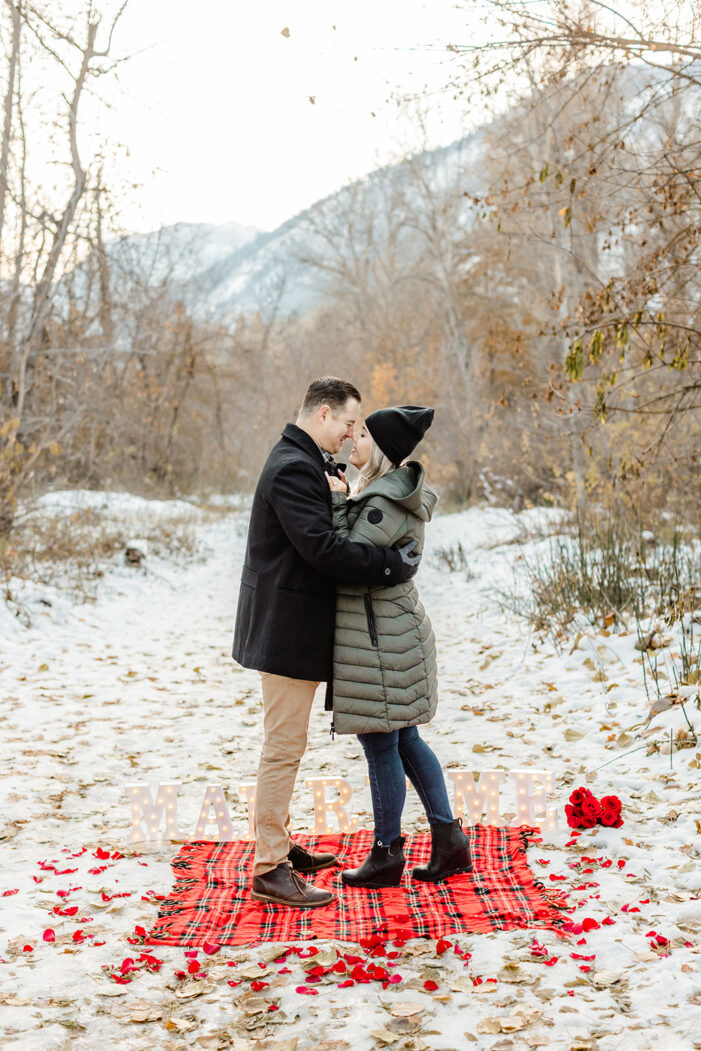 proposal in the snow