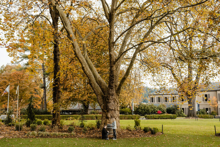 proposal at chateau ste michelle winery