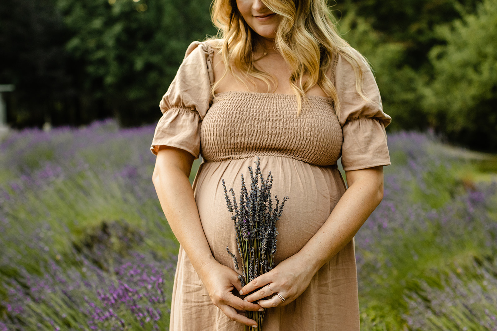 woman holds lavender to pregnant belly