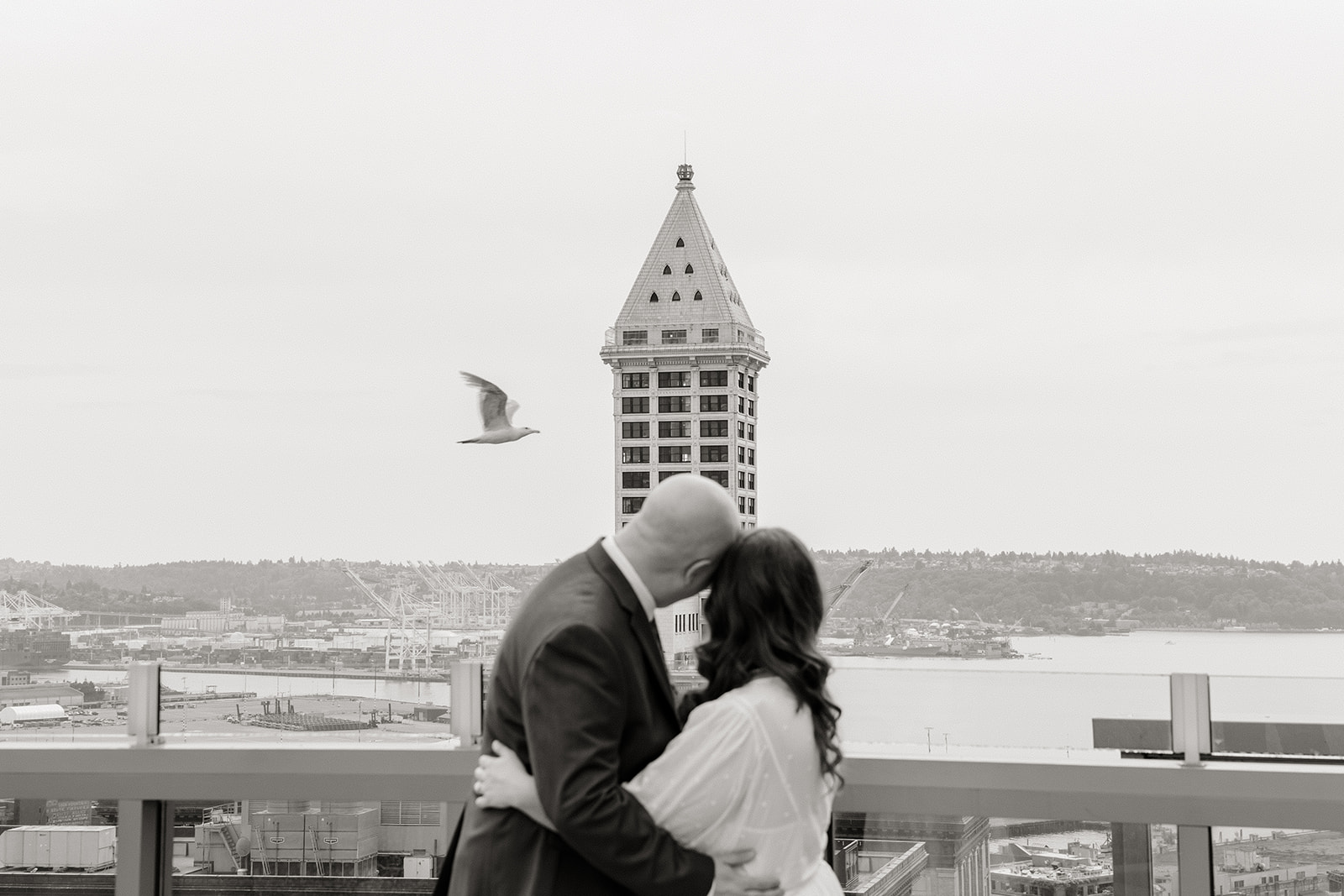 couple looking at smith tower in downtown seattle with seagull flying by courthouse wedding