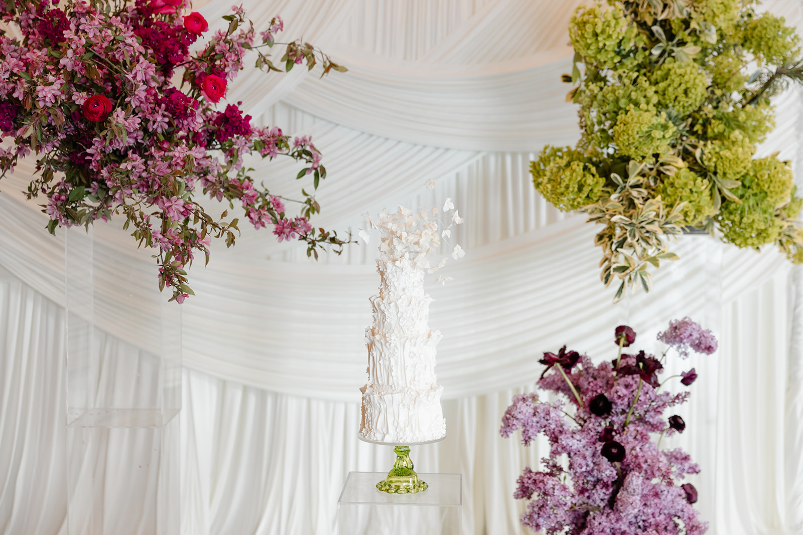 cake in front of white backdrop