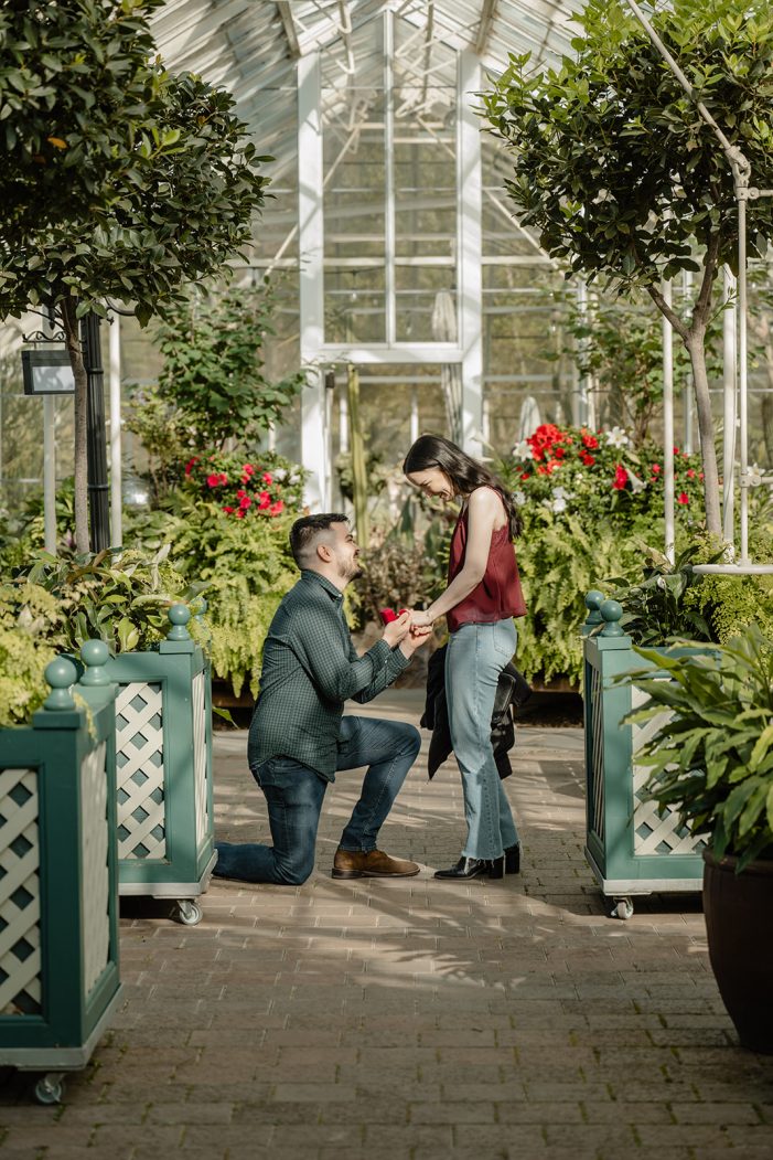 man proposes to woman in greenhouse