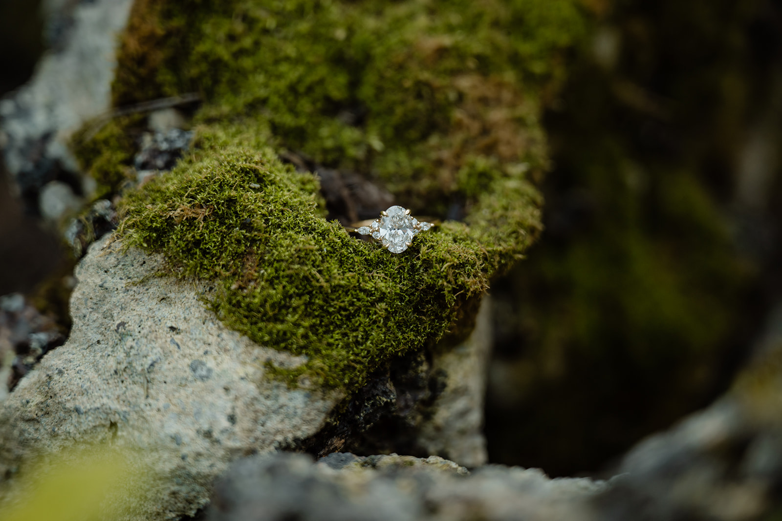 ring on bed of moss