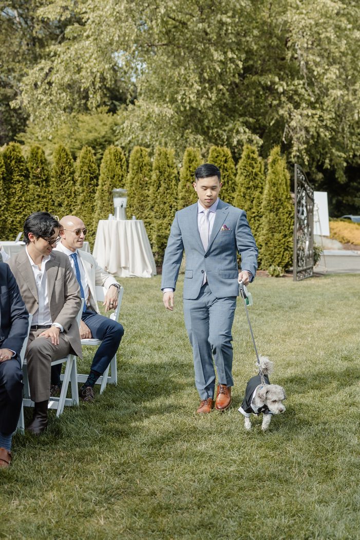 dog walks down aisle