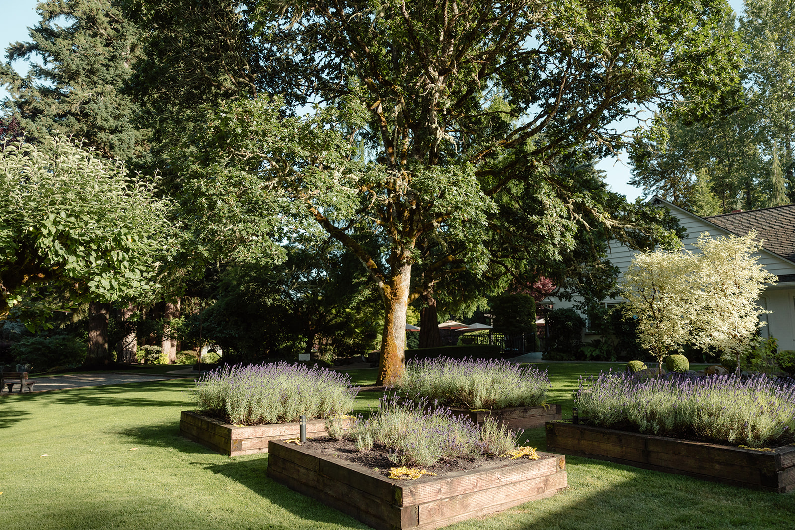rock creek garden wedding venue
